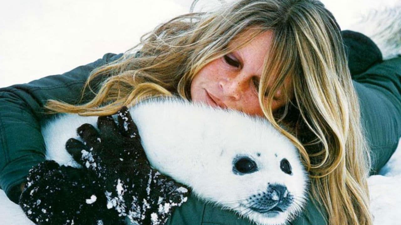 Brigitte Bardot, le serment fait aux animauxの背景画像