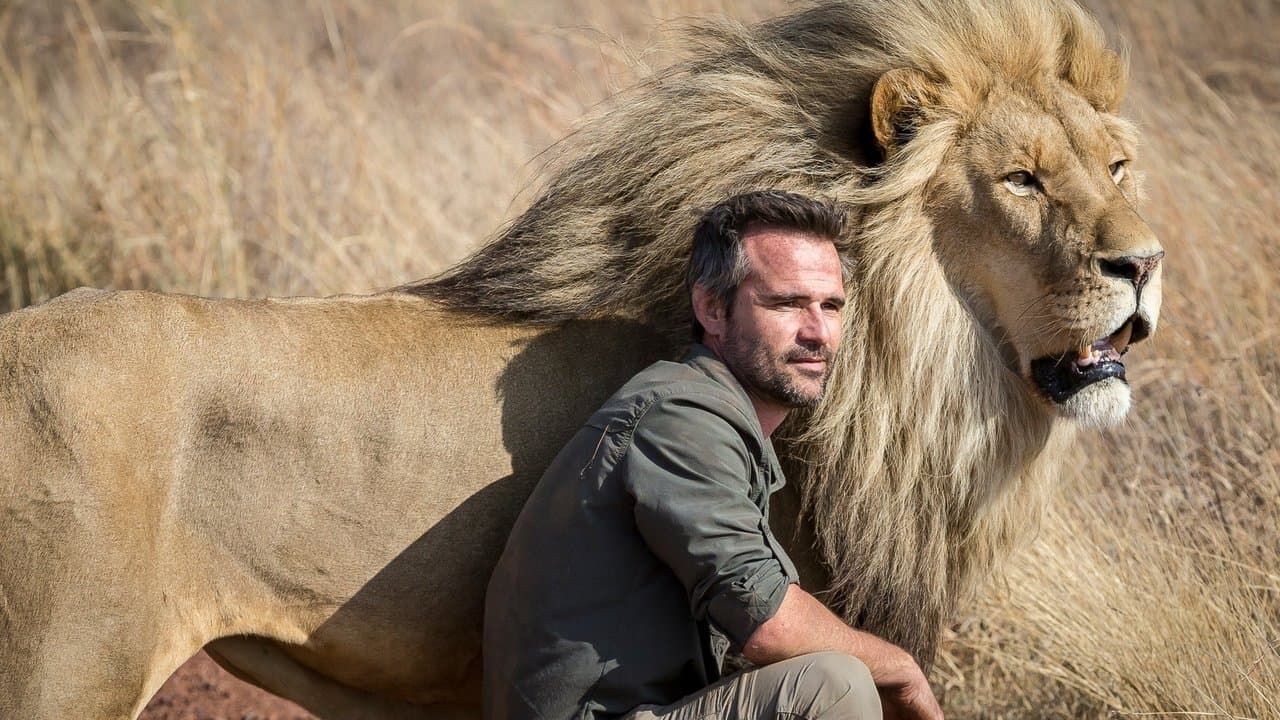 The Lion Rangerの背景画像