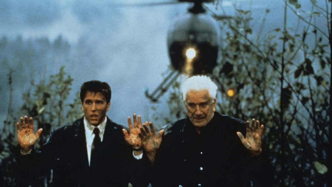 Camouflageの背景画像