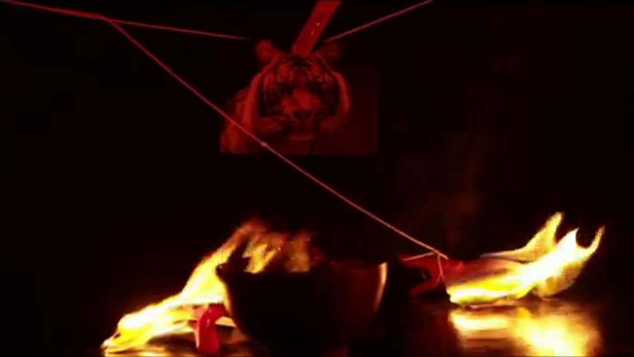 Triggrisの背景画像