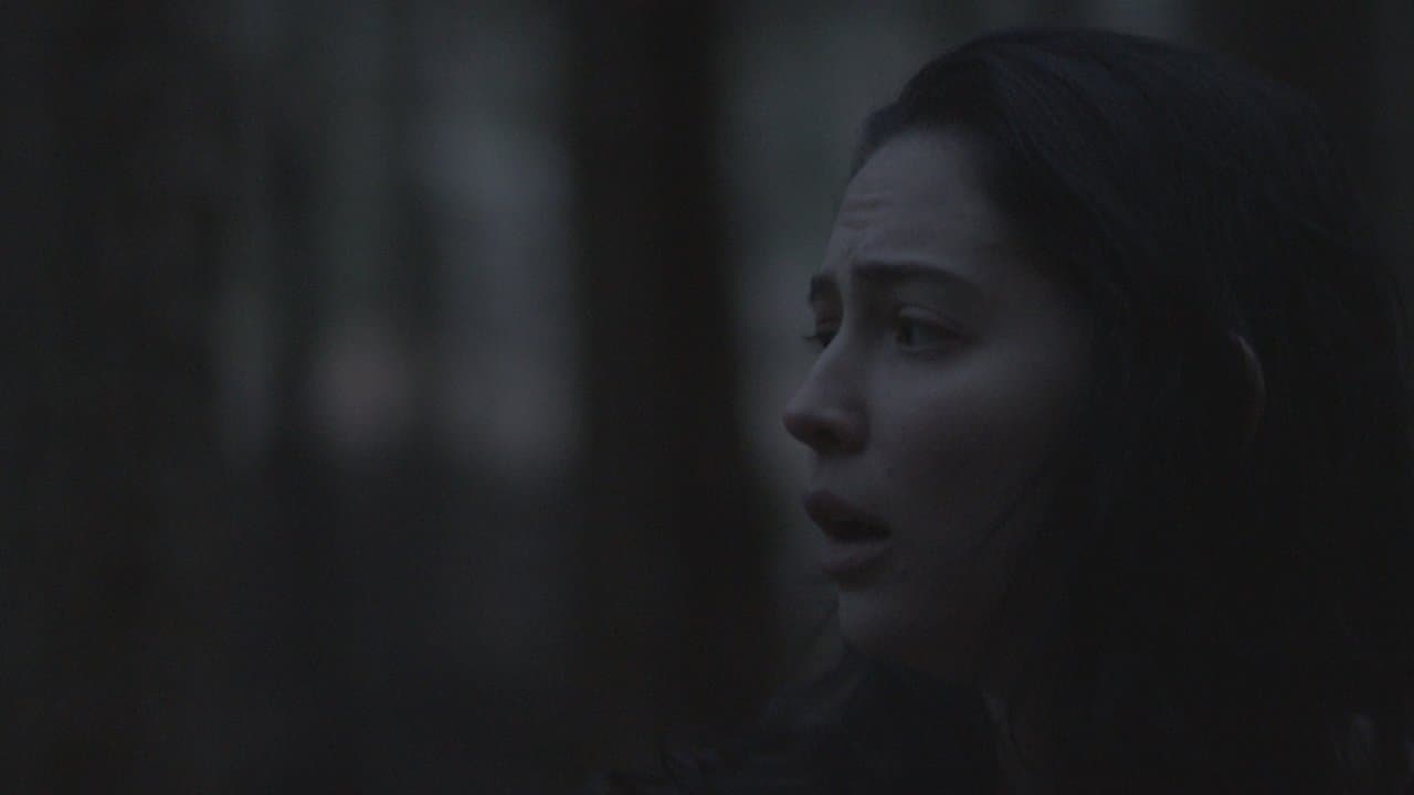 The Clearingの背景画像