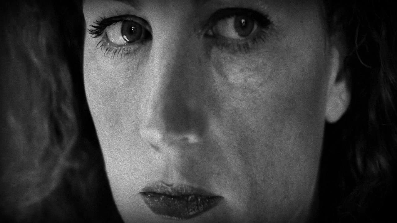 Freddy Hotelの背景画像