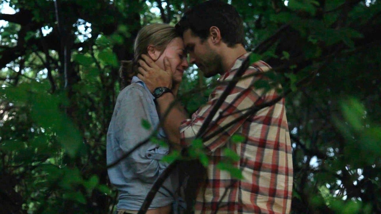 Safariの背景画像