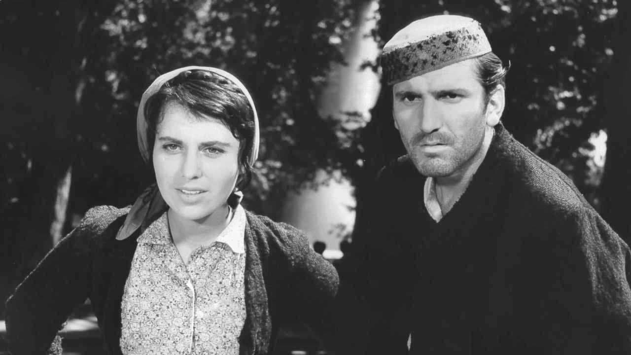 Vlak bez voznog redaの背景画像