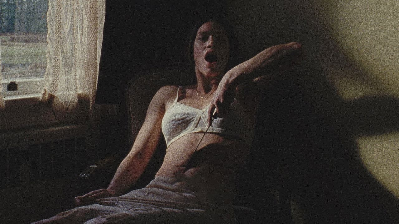 ロングレッグスの背景画像