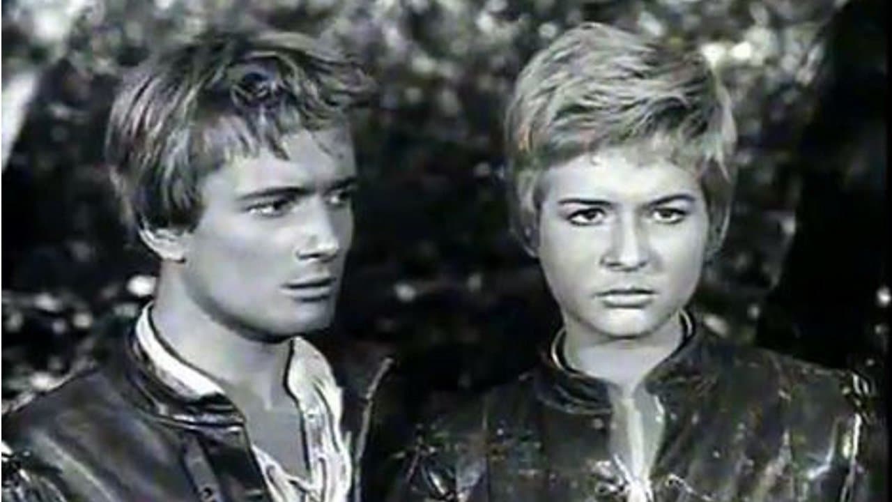 La freccia neraの背景画像