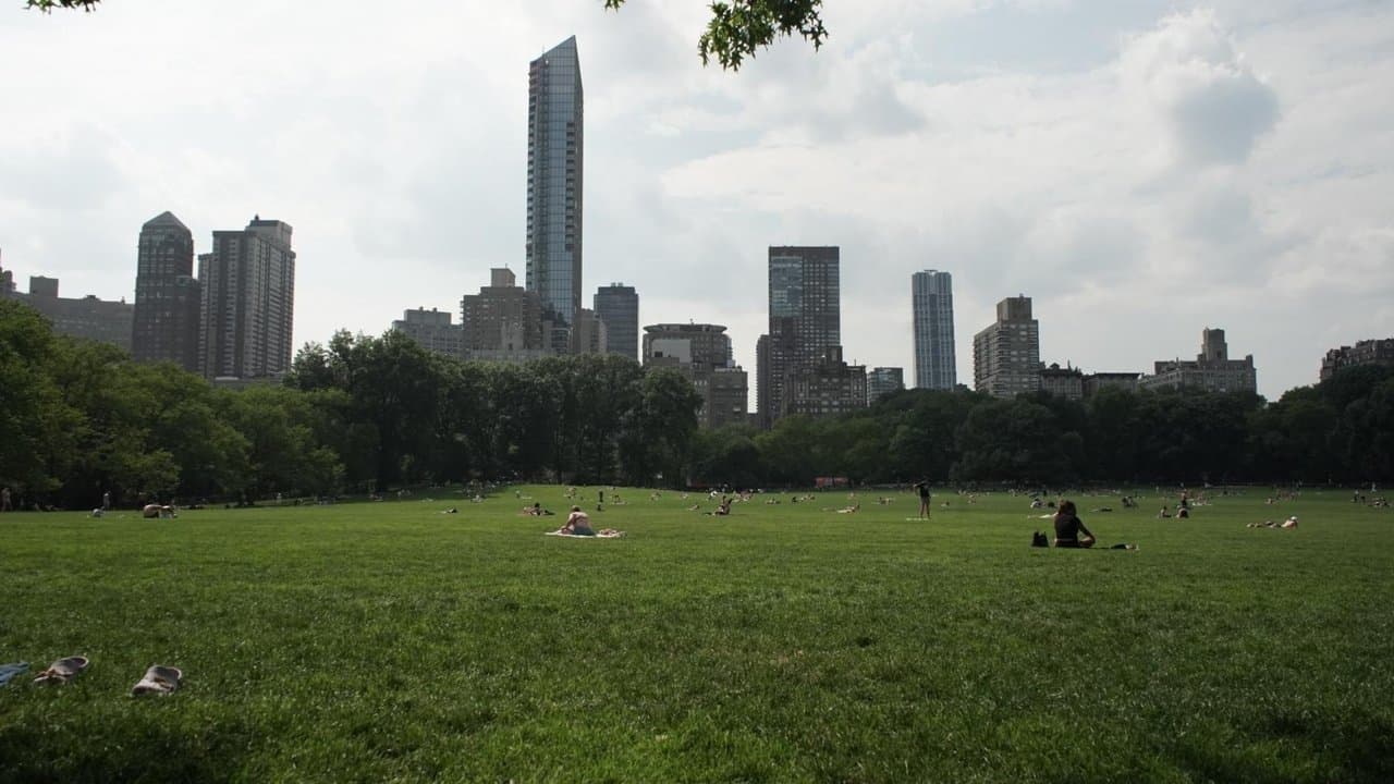 The Voices of New Yorkの背景画像