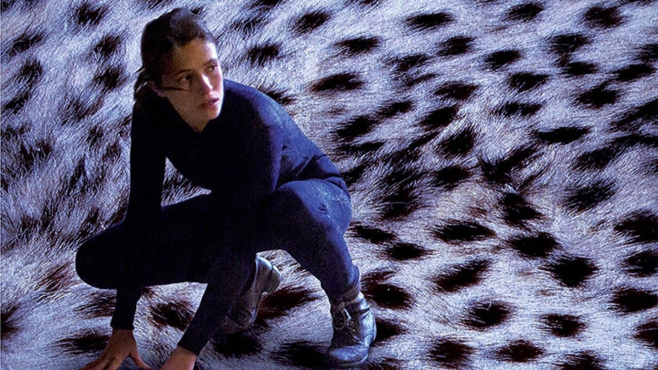 הפורצתの背景画像