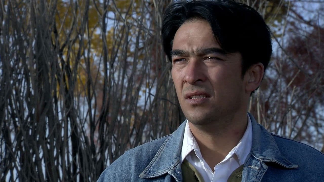 胡杨人の背景画像