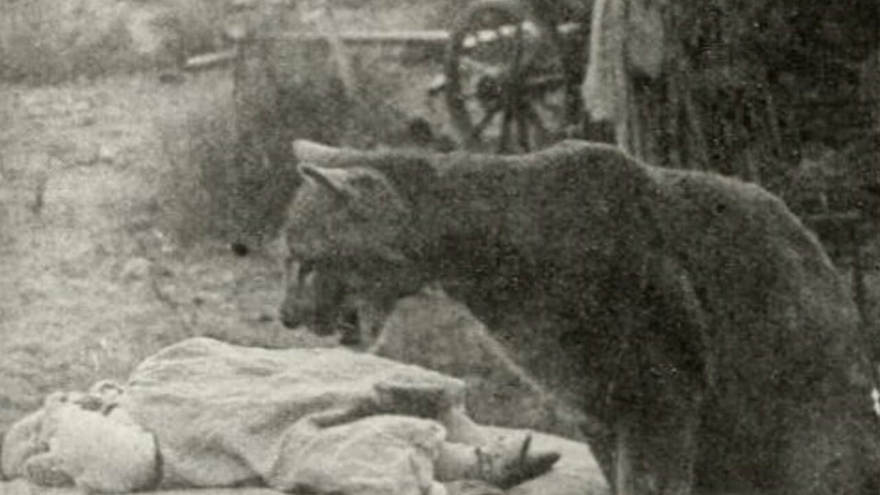 The Sheriff's Babyの背景画像