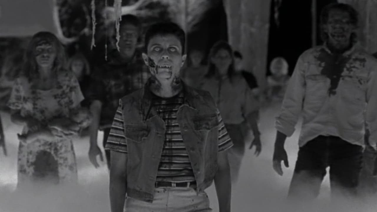 The Night Flierの背景画像