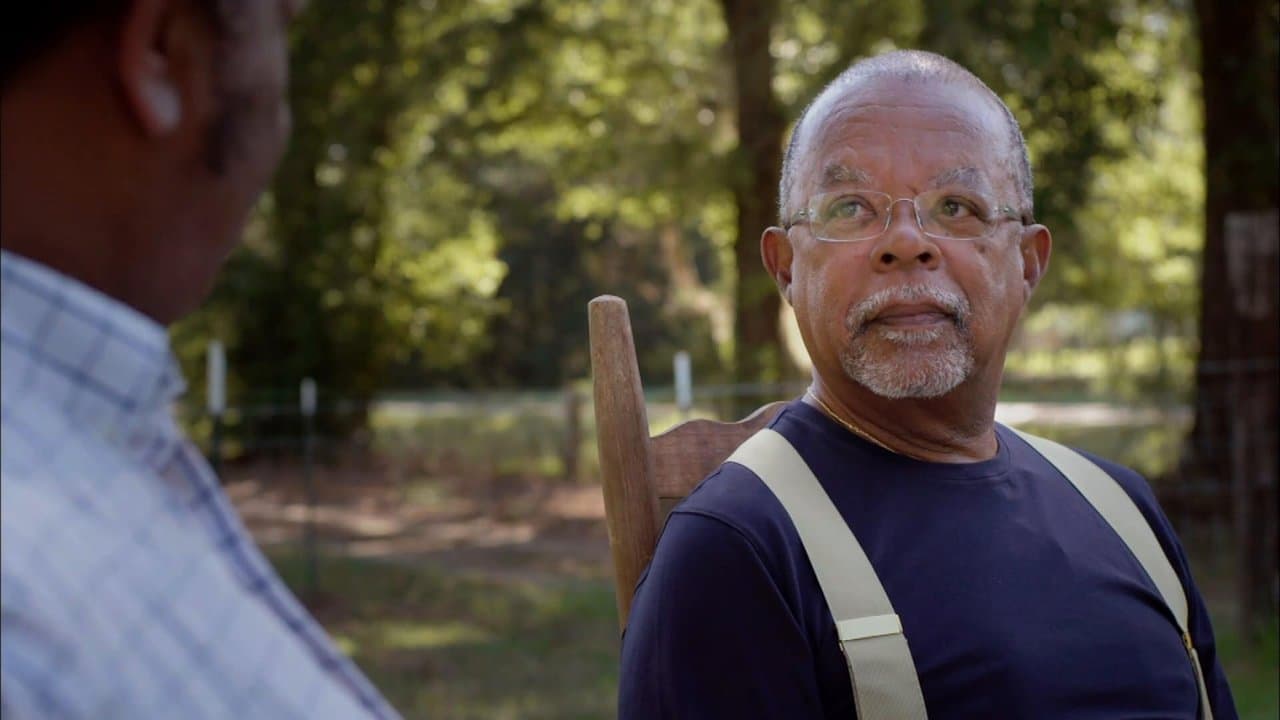 Black America Since MLK: And Still I Riseの背景画像