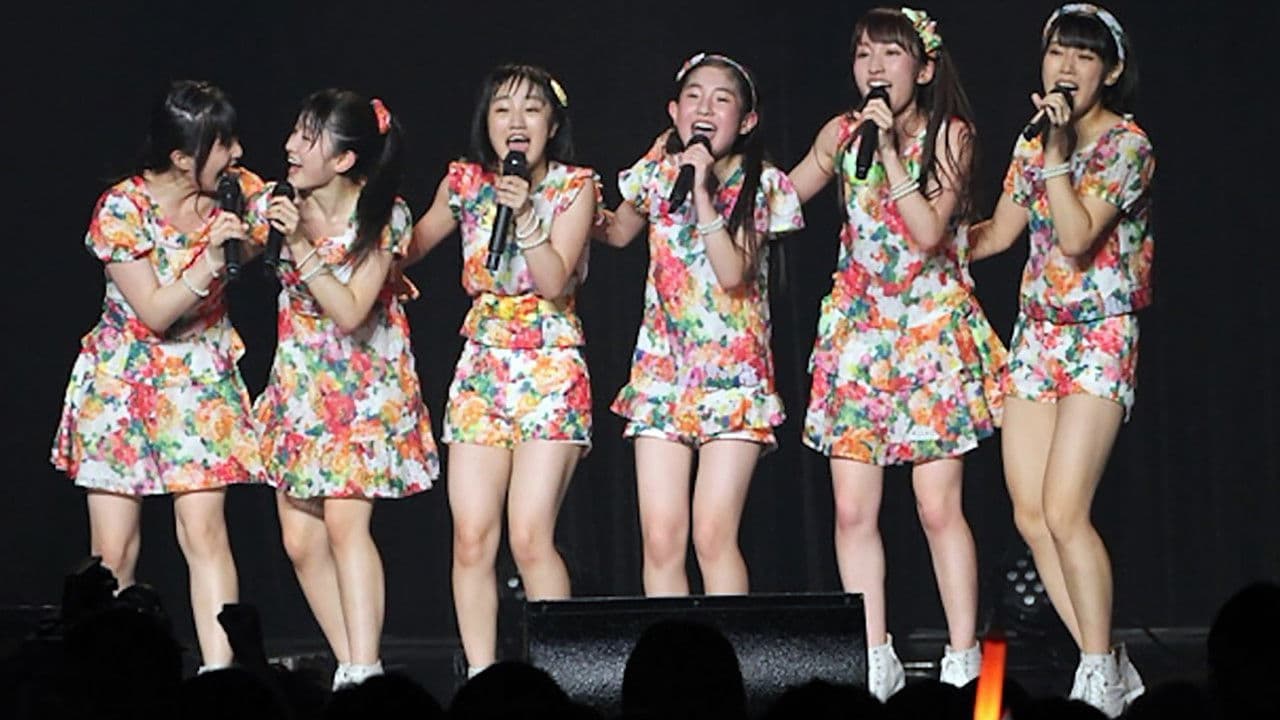 カントリー・ガールズ ライブツアー 2016春夏 FINAL!の背景画像