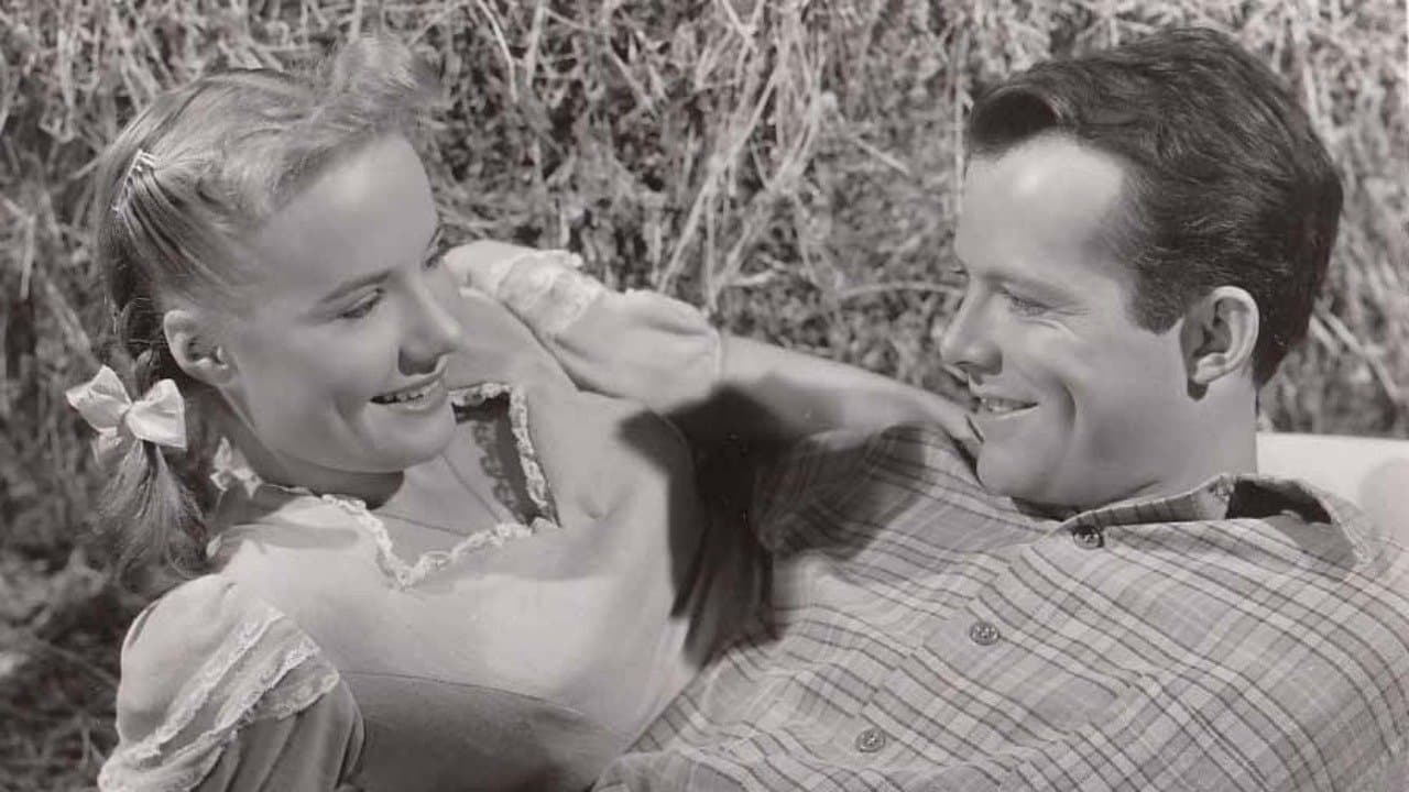 The Big Catの背景画像