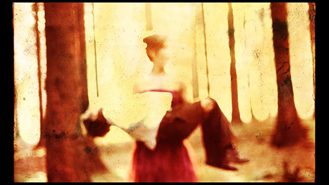 Porcupine Tree: Never Stop the Car on a Drive in the Darkの背景画像