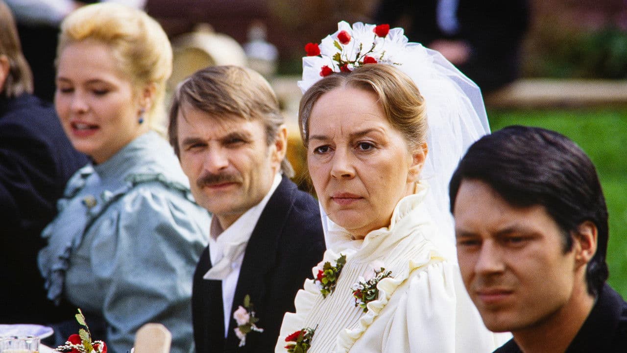 Niskavuoren Hetaの背景画像