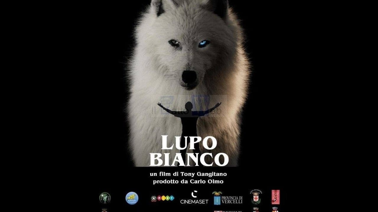 Lupo biancoの背景画像