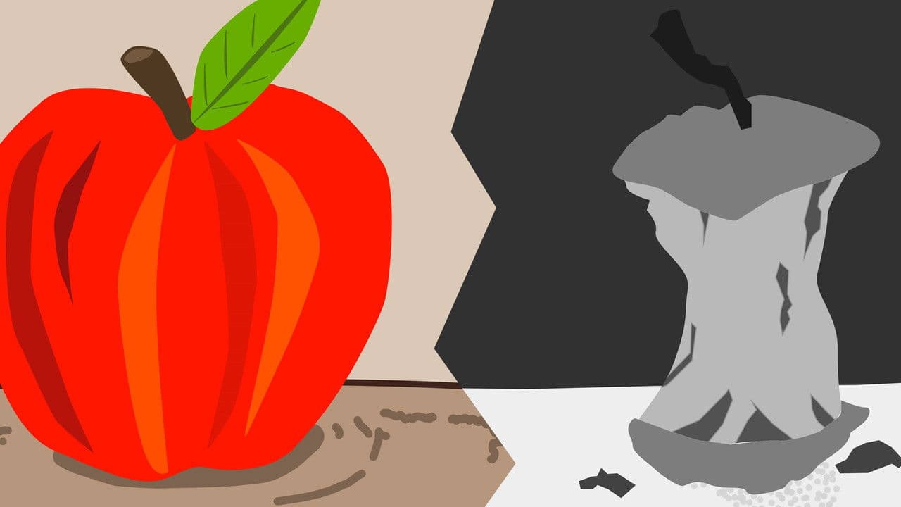 ANTEATERの背景画像