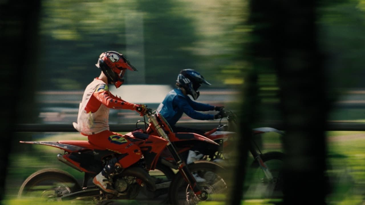 Flying Hummeloの背景画像