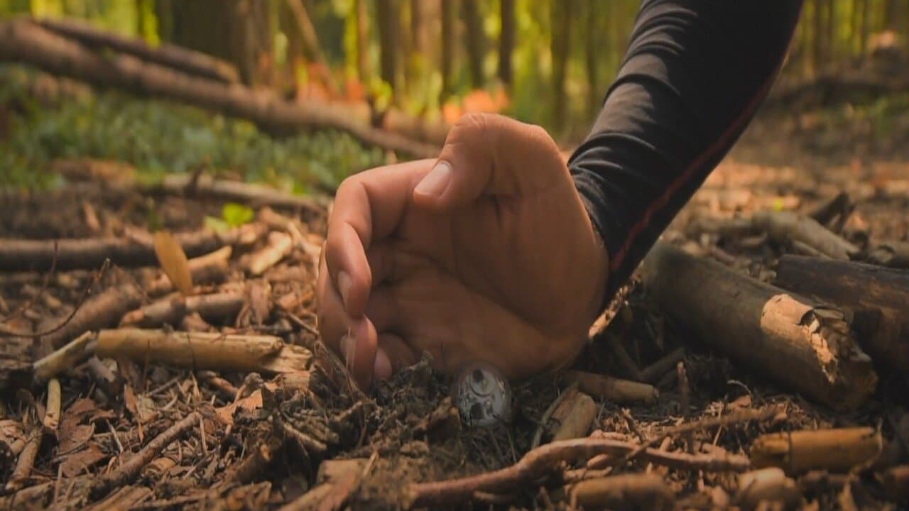 Neo-Gaiaの背景画像