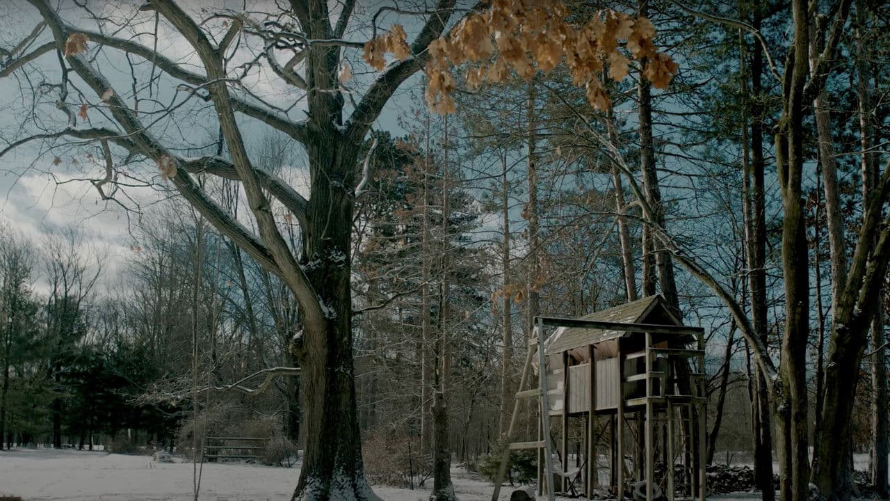 Treehouseの背景画像