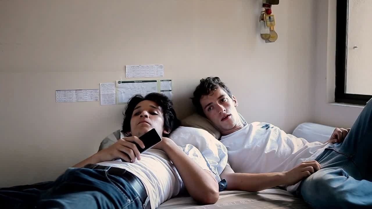 O Animal Sonhadoの背景画像