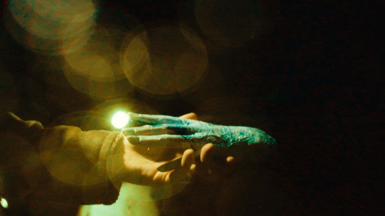 Window Shopperの背景画像