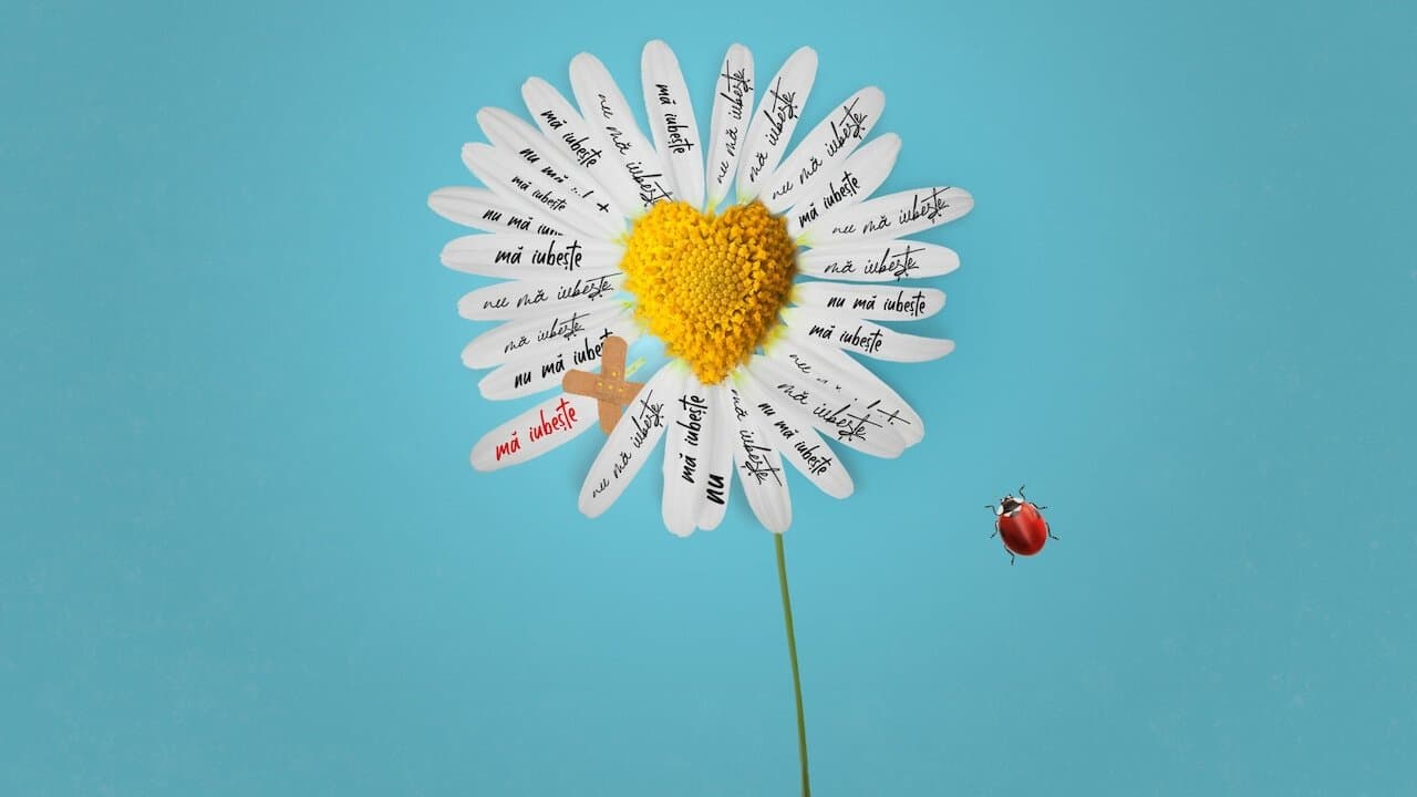 Lasă-mă, îmi place ! Camera 609の背景画像