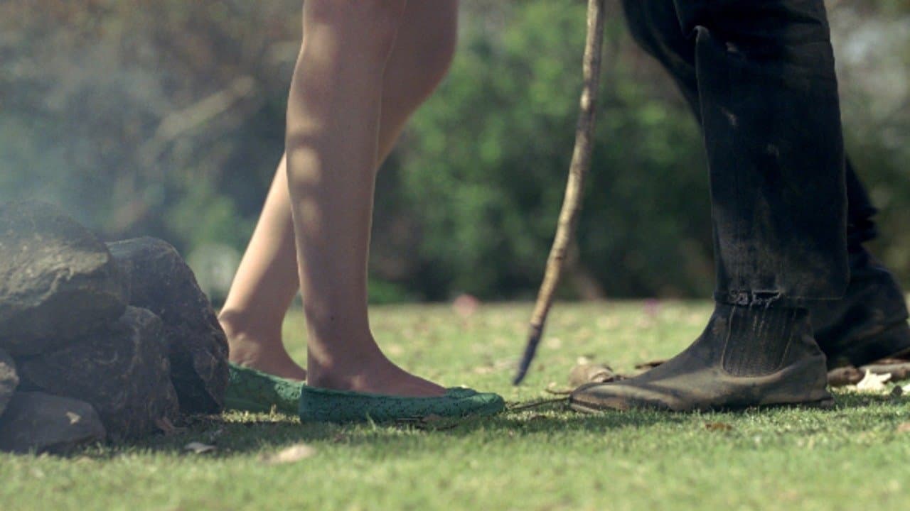 Oveja Negraの背景画像