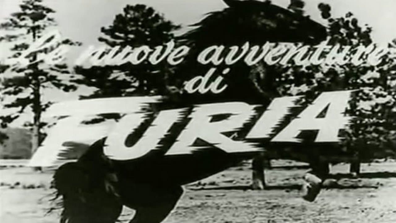 Furyの背景画像