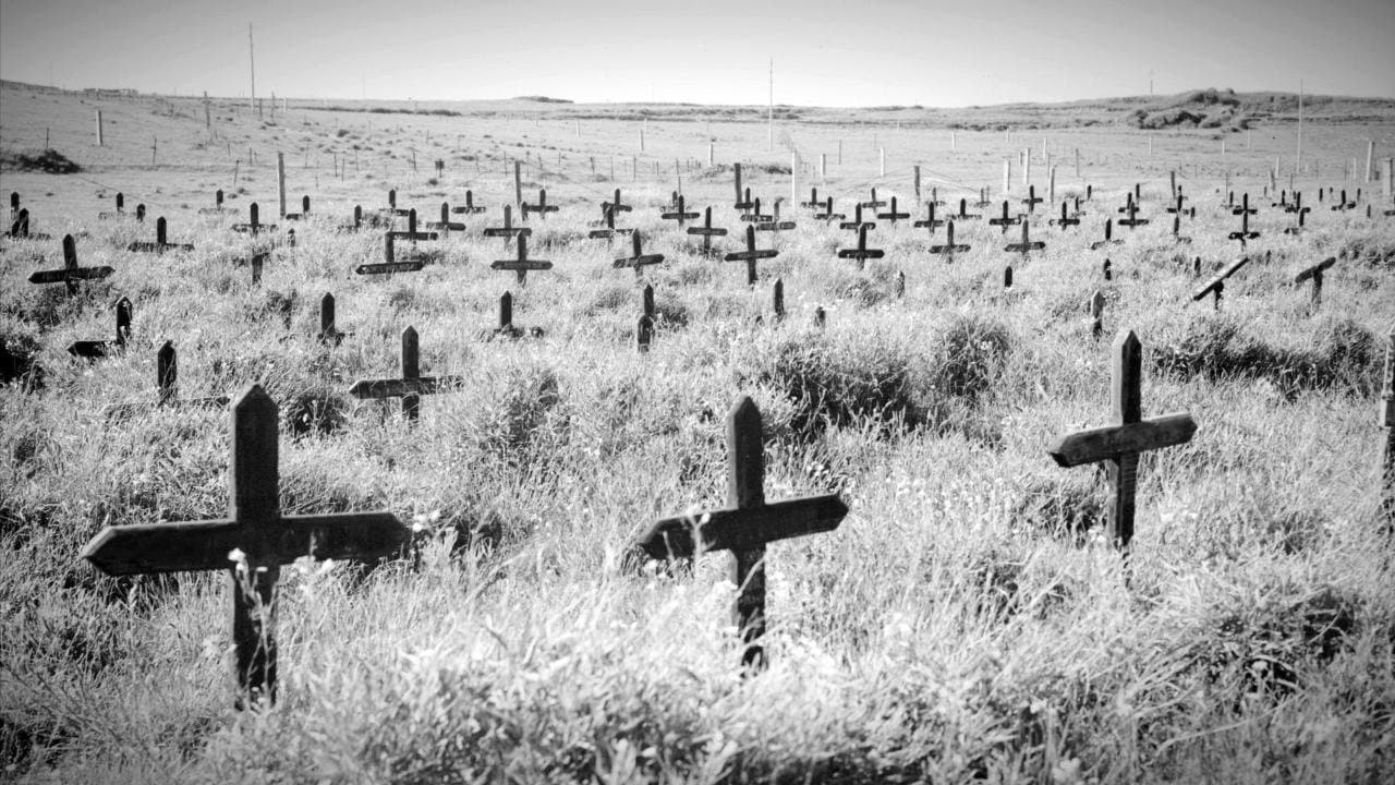 Adolf Islandの背景画像