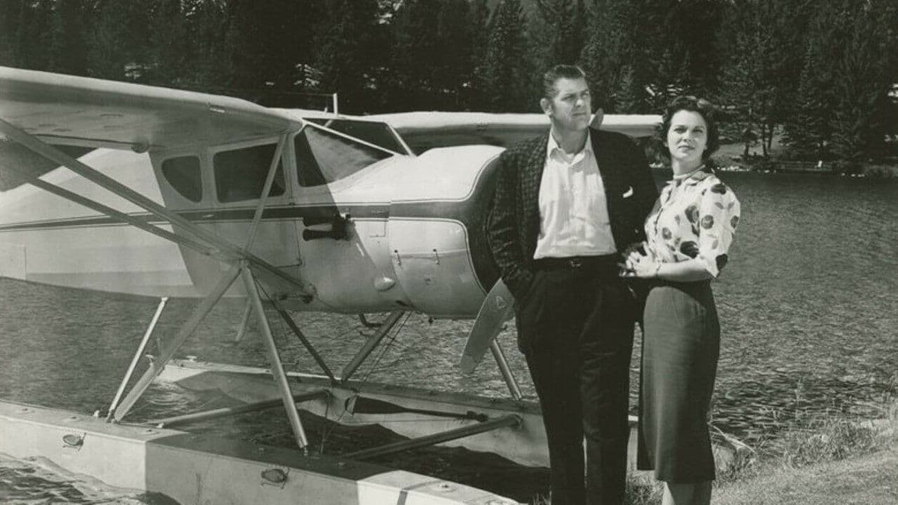 Wings of Chanceの背景画像