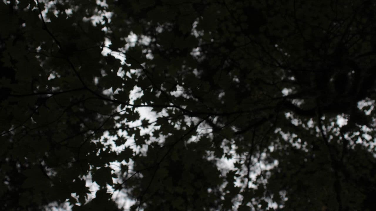 Reclamationの背景画像