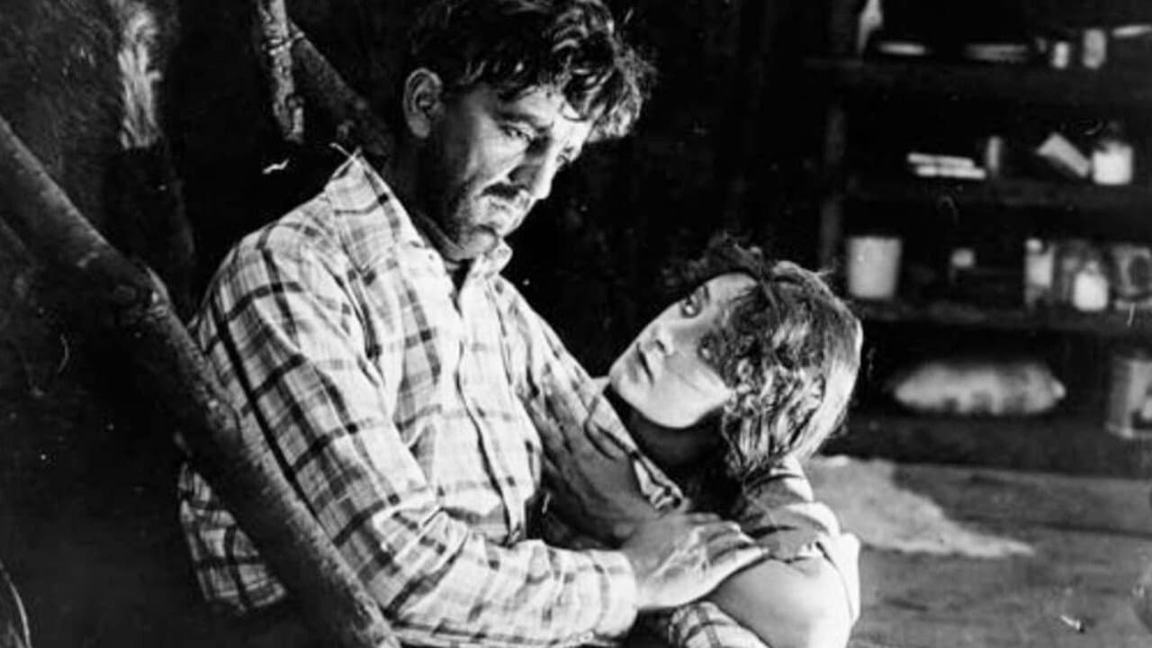 Baree, Son of Kazanの背景画像