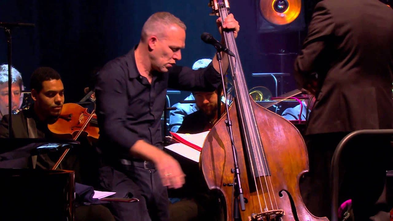Avishai Cohen Symphonyの背景画像