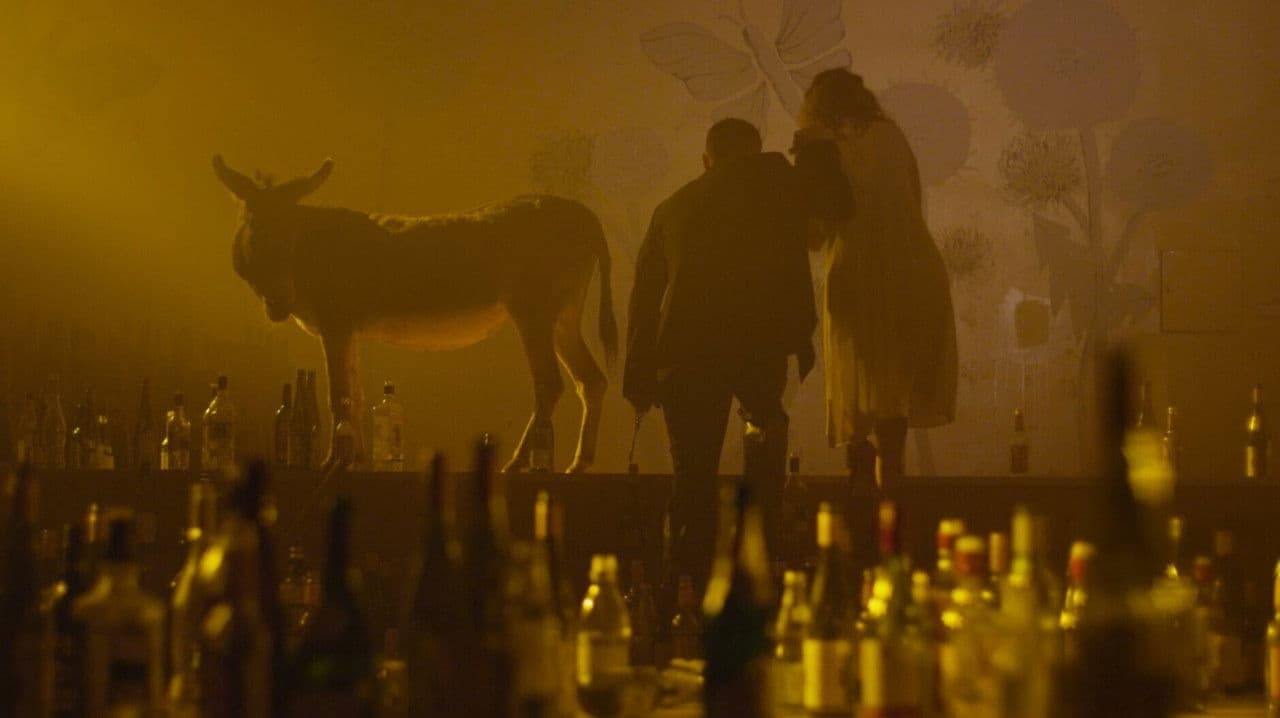 Es atgriezīšos kā kvēlojoša rozeの背景画像