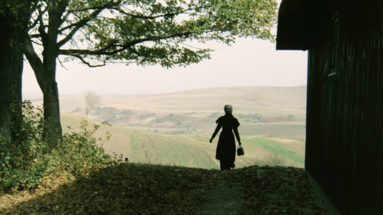 Подарунок на імениниの背景画像