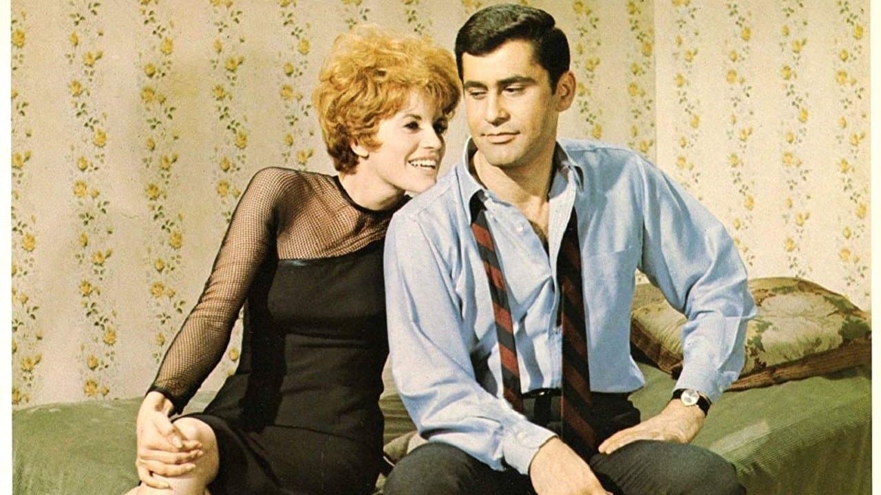 The Pad and How to Use Itの背景画像