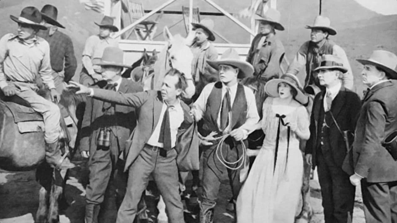 Daring Chancesの背景画像