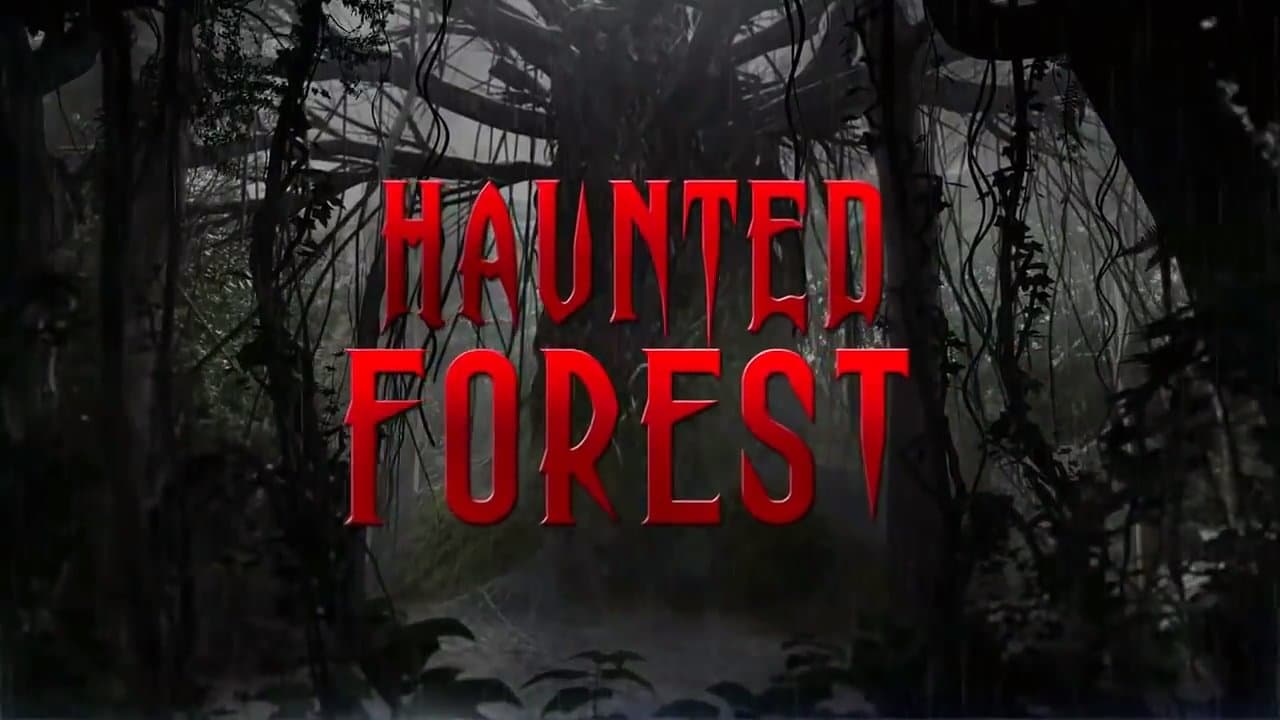 Haunted Forestの背景画像