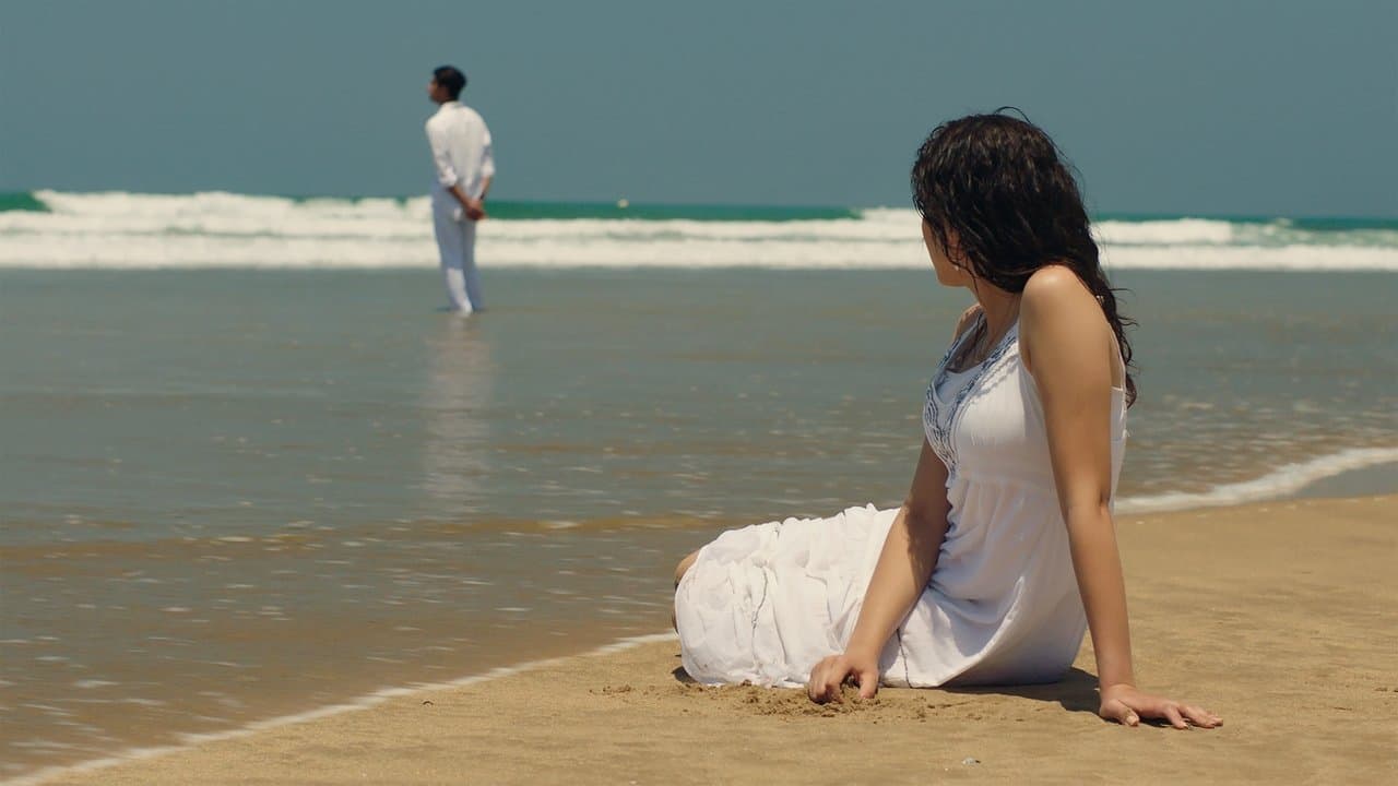 Sonata Layliaの背景画像