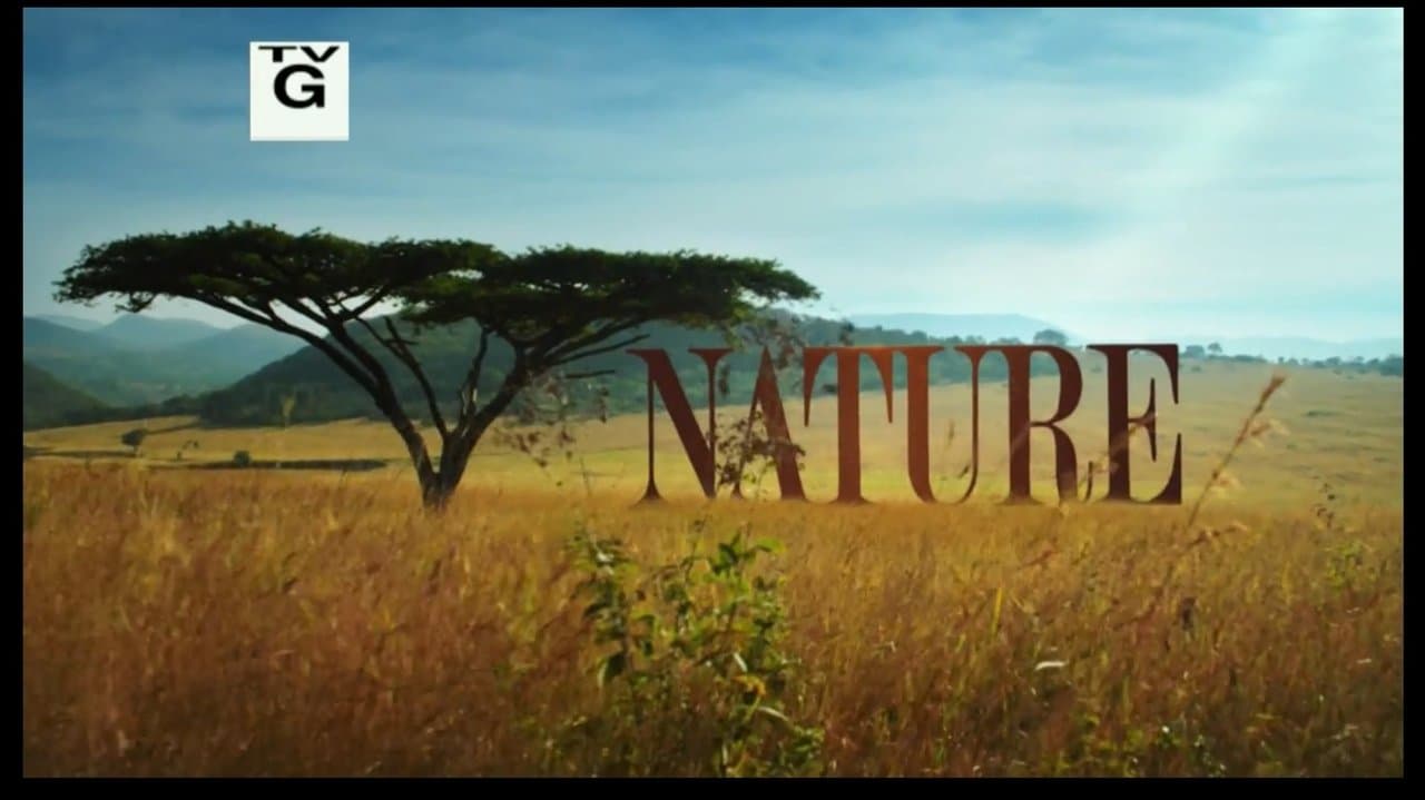 Nature: Yosemiteの背景画像