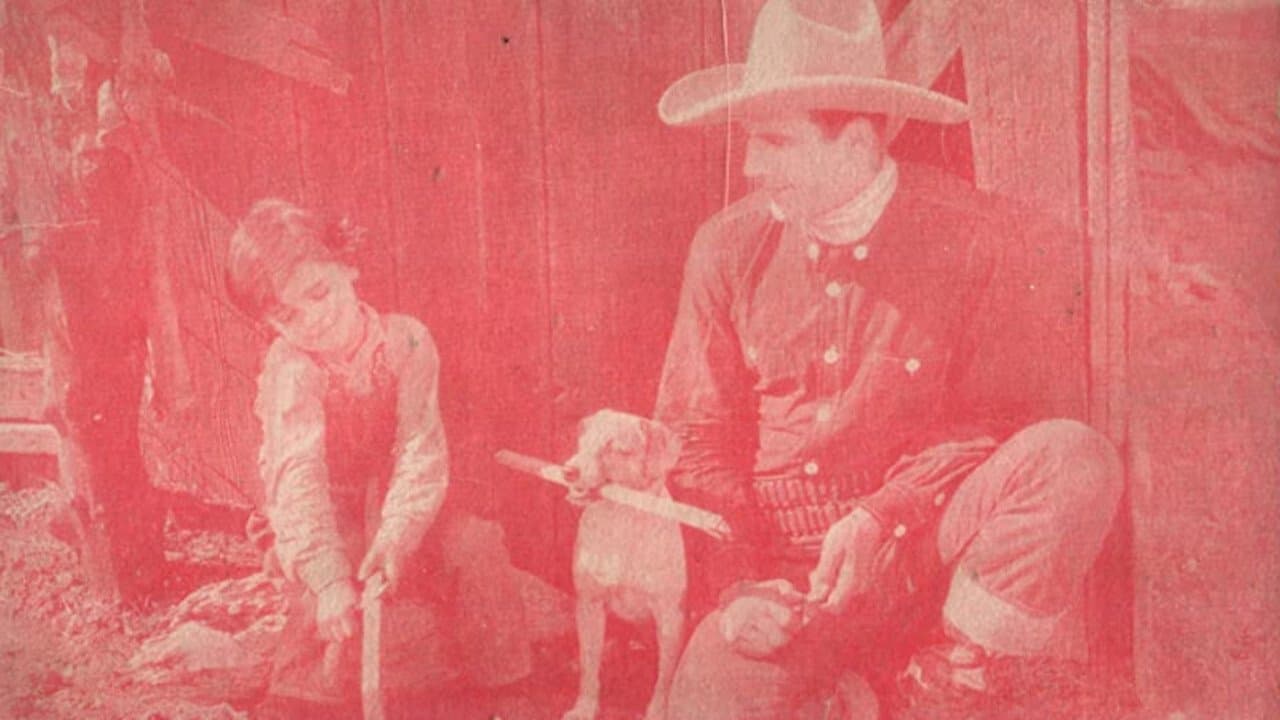 The Wyoming Wildcatの背景画像