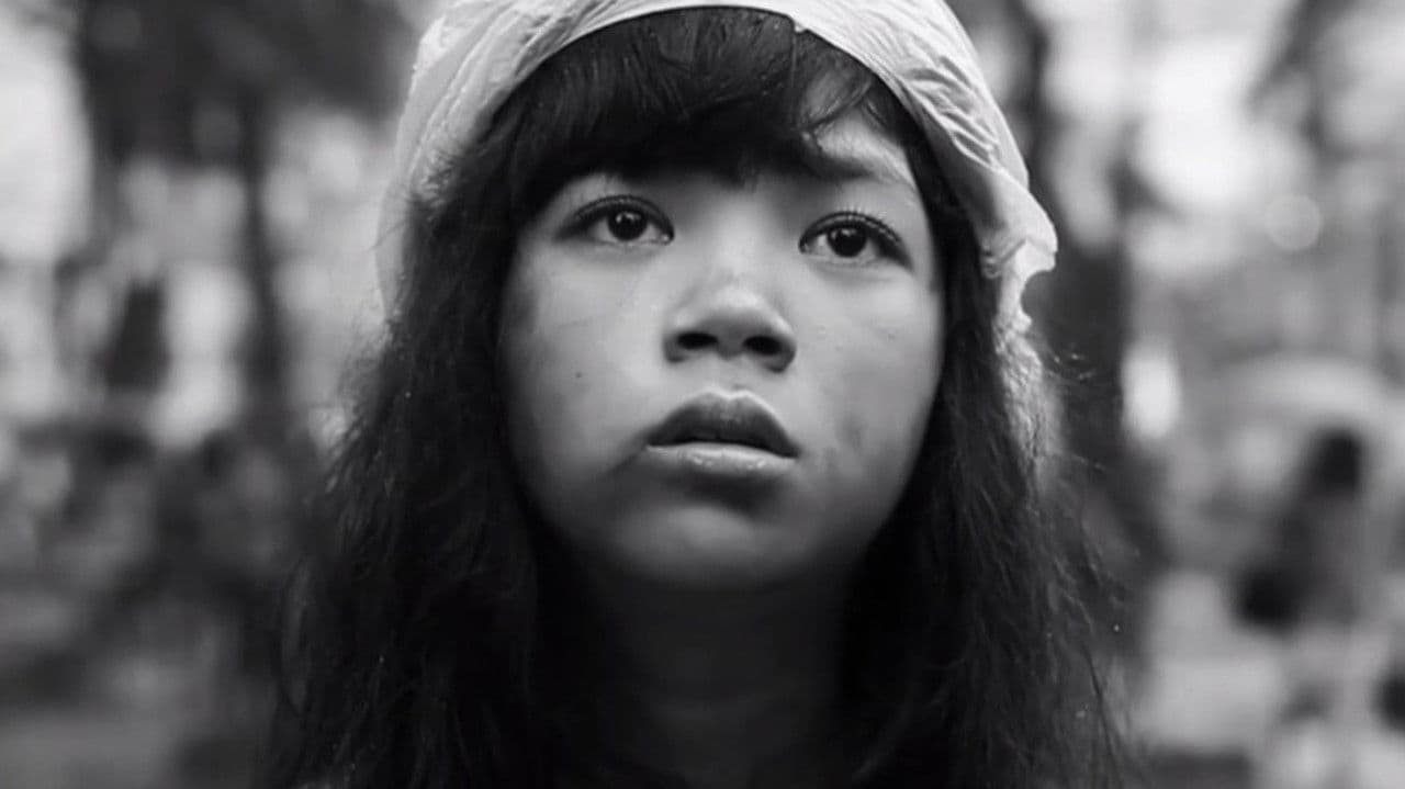 Wakasの背景画像