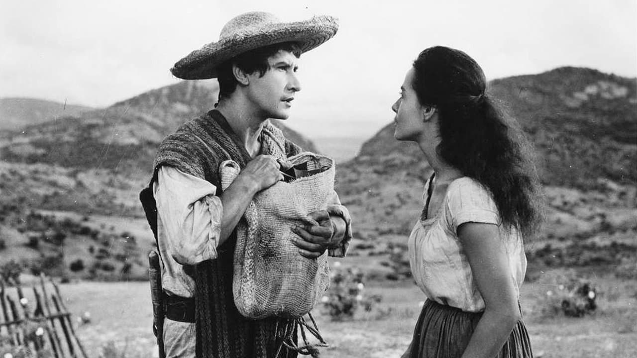 Macarioの背景画像