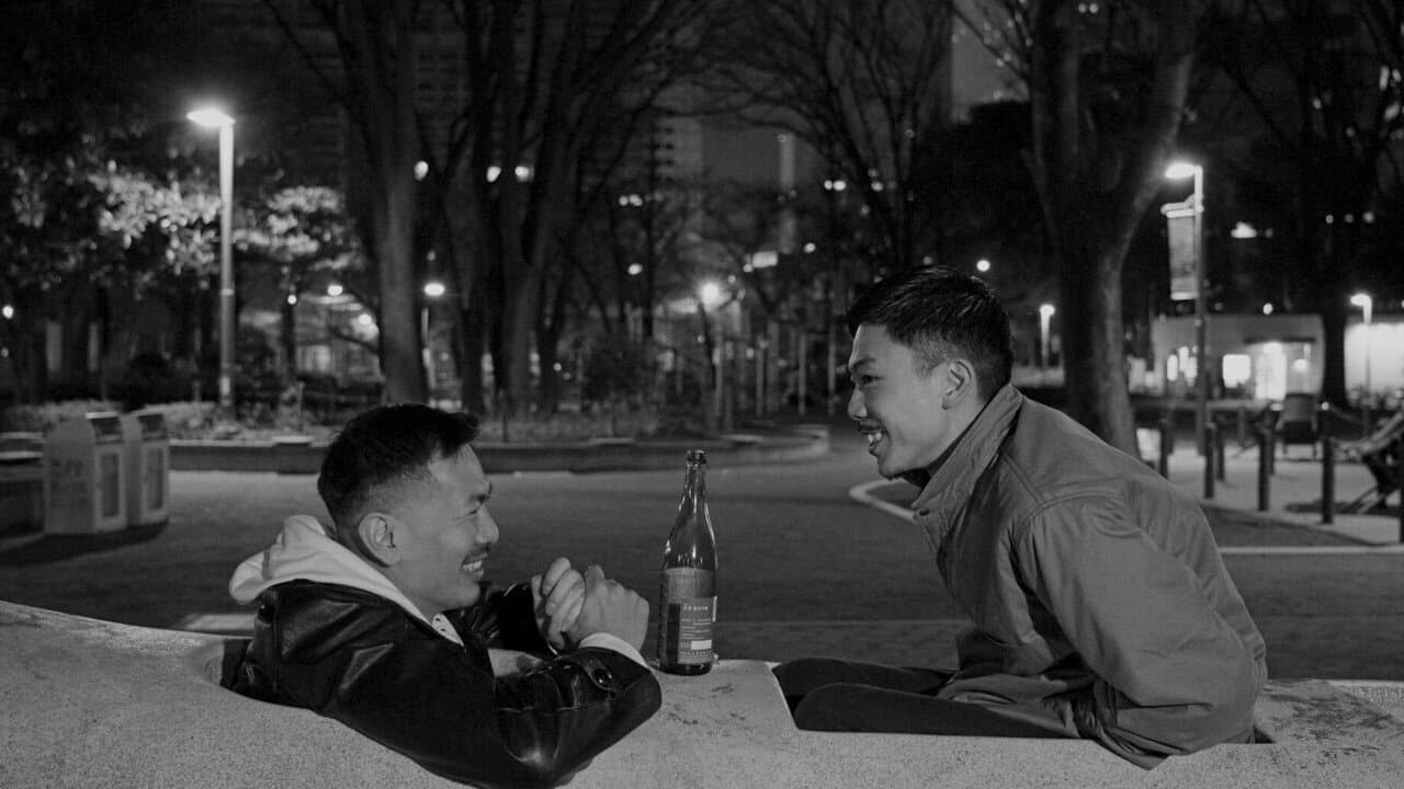 青木與森の背景画像