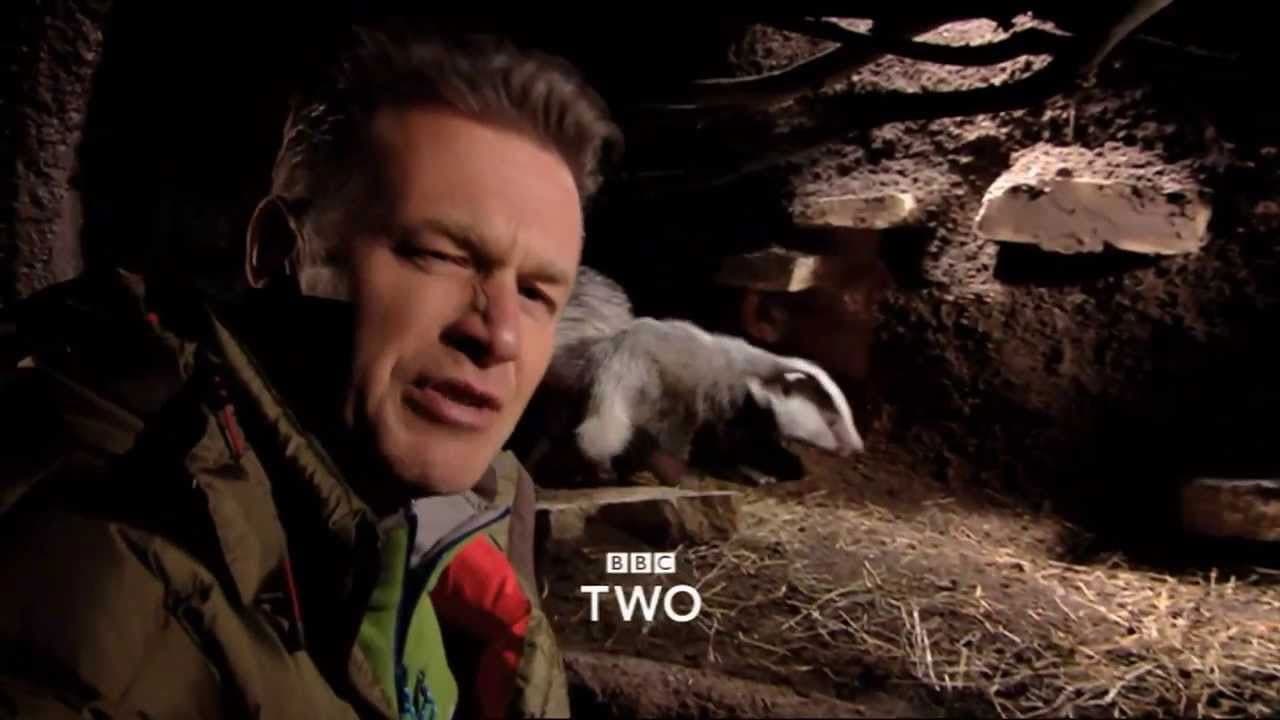 The Burrowersの背景画像