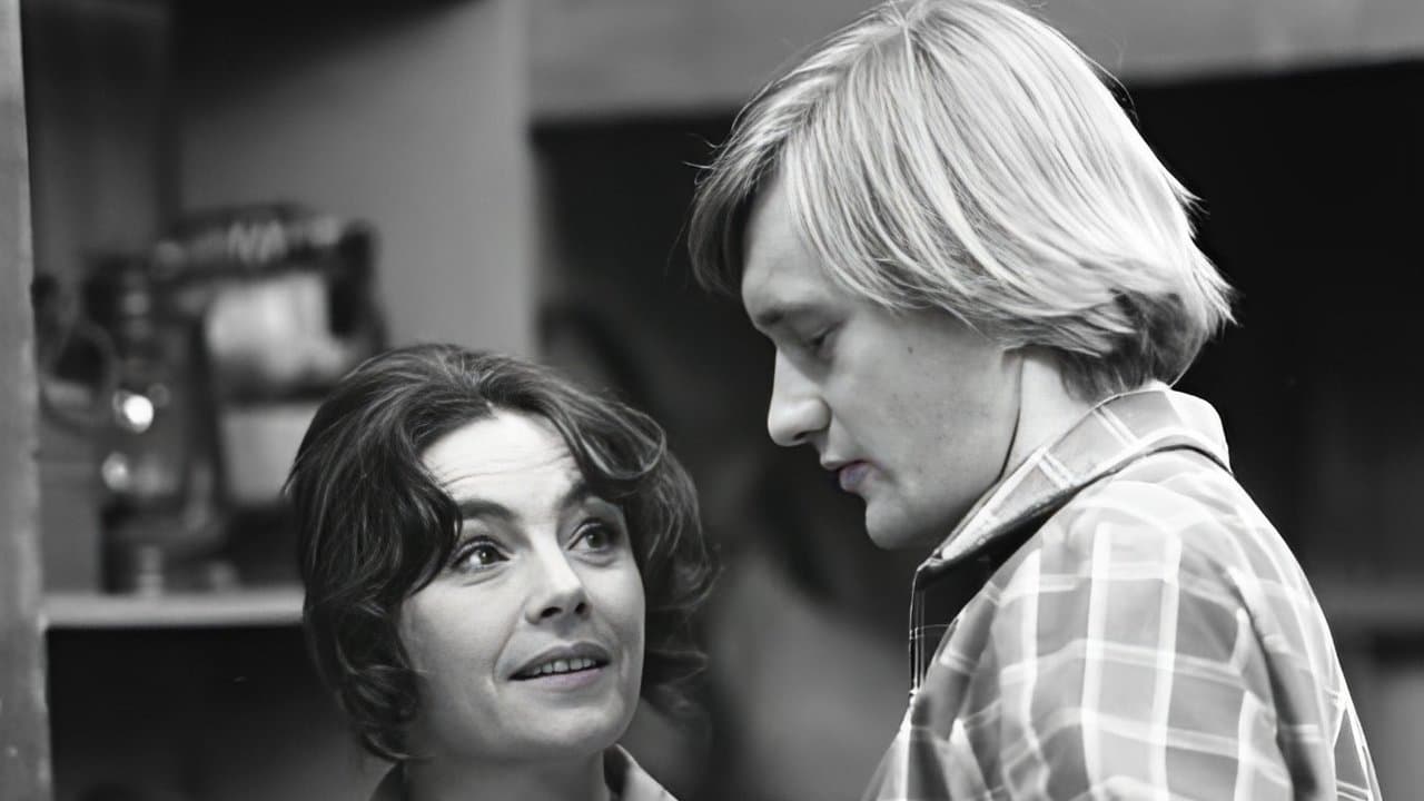 Pozwolenie na odstrzałの背景画像