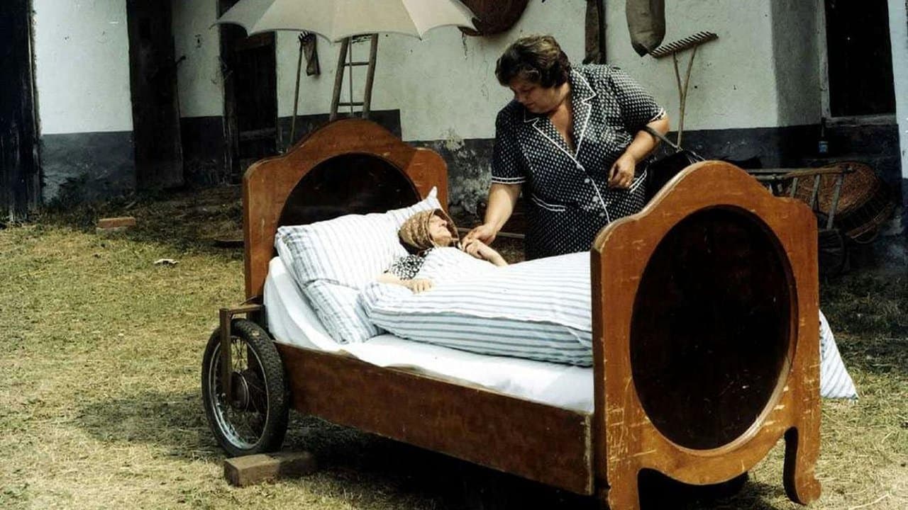 Slunce, seno, jahodyの背景画像