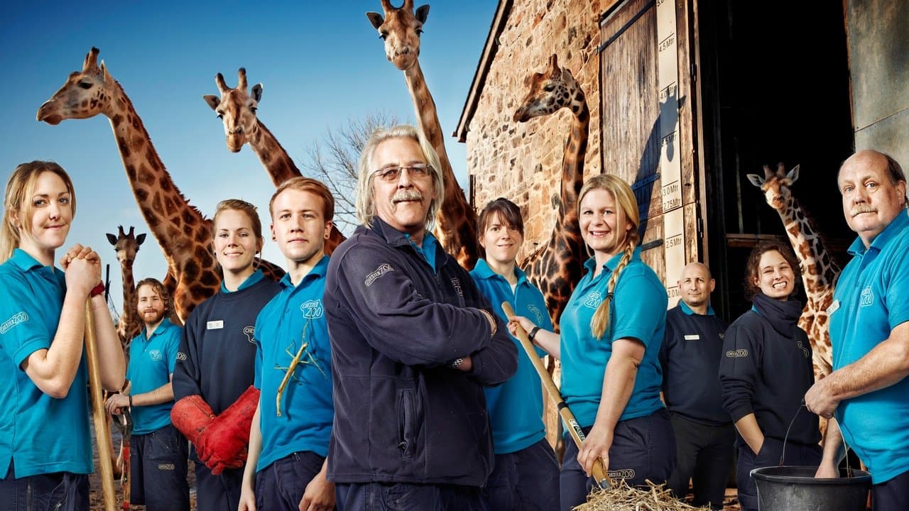 The Secret Life of the Zooの背景画像